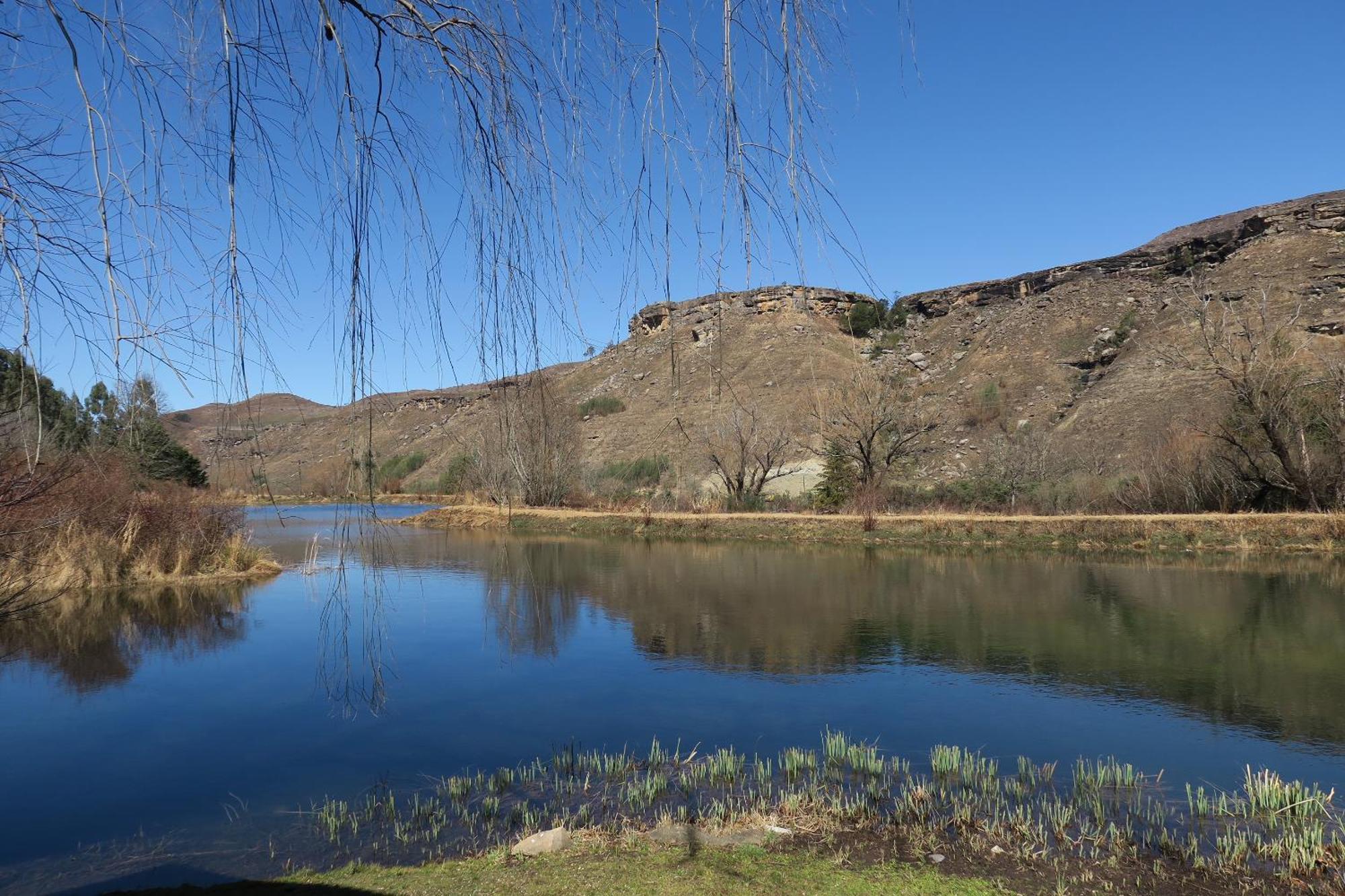 Mkomazana Mountain Cottages 海姆维尔 外观 照片