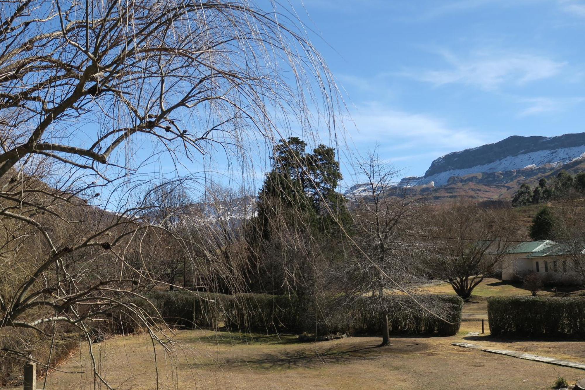 Mkomazana Mountain Cottages 海姆维尔 外观 照片